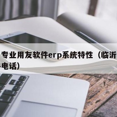 兰山专业用友软件erp系统特性（临沂用友软件电话）