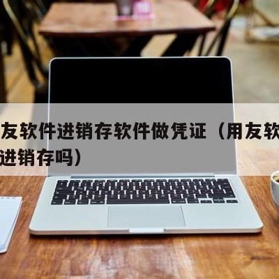 t3用友软件进销存软件做凭证（用友软件可以做进销存吗）