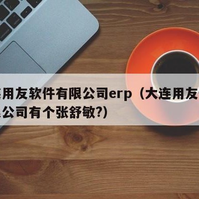 大连用友软件有限公司erp（大连用友软件有限公司有个张舒敏?）