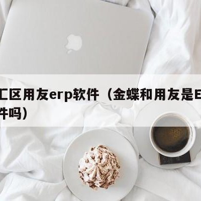 徐汇区用友erp软件（金蝶和用友是ERP软件吗）