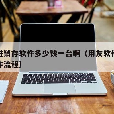 用友进销存软件多少钱一台啊（用友软件进销存操作流程）