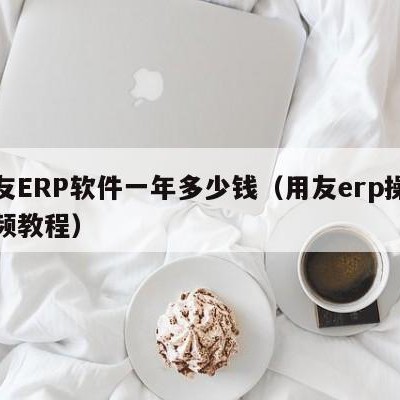 用友ERP软件一年多少钱（用友erp操作视频教程）