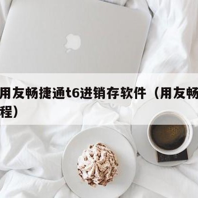 太仓用友畅捷通t6进销存软件（用友畅捷通t6教程）