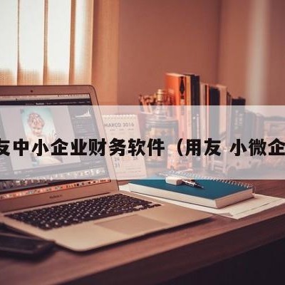 用友中小企业财务软件（用友 小微企业）