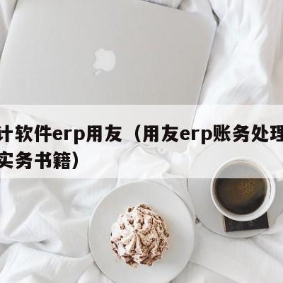 会计软件erp用友（用友erp账务处理流程实务书籍）