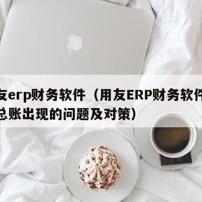 用友erp财务软件（用友ERP财务软件操作总账出现的问题及对策）