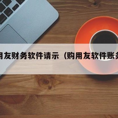 购买用友财务软件请示（购用友软件账务处理）