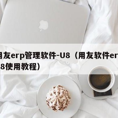 用友erp管理软件-U8（用友软件erpu8使用教程）