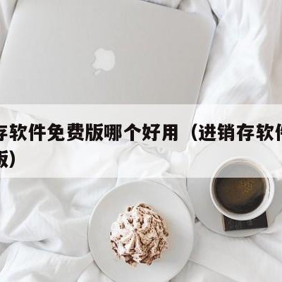 进销存软件免费版哪个好用（进销存软件手机免费版）