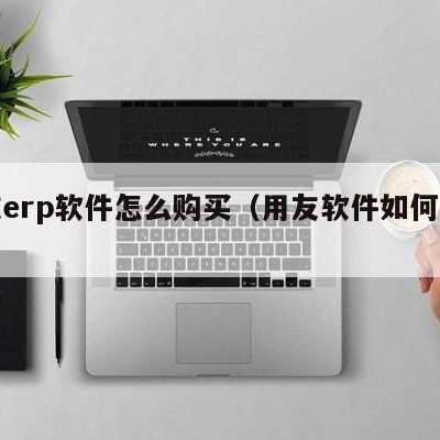 用友erp软件怎么购买（用友软件如何购买）