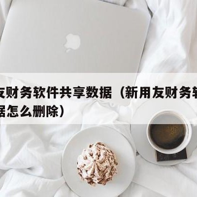 新用友财务软件共享数据（新用友财务软件共享数据怎么删除）