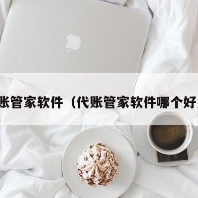 代账管家软件（代账管家软件哪个好用）