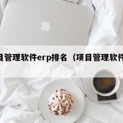 项目管理软件erp排名（项目管理软件app）