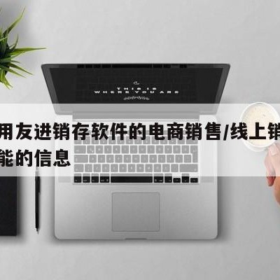 关于用友进销存软件的电商销售/线上销售角色功能的信息