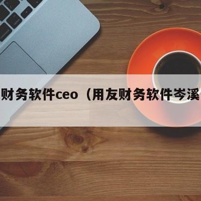 用友财务软件ceo（用友财务软件岑溪怎么做?）