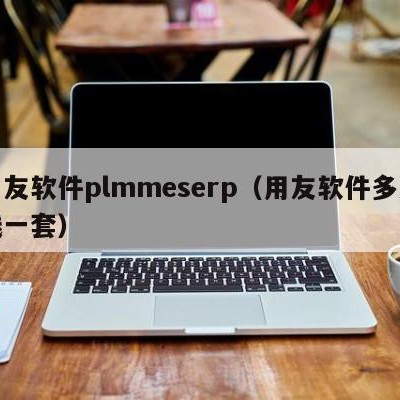 用友软件plmmeserp（用友软件多少钱一套）