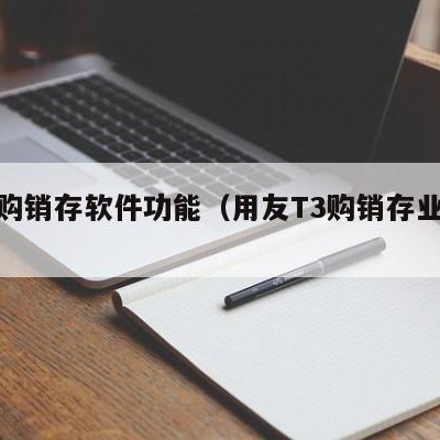 用友购销存软件功能（用友T3购销存业务流程）