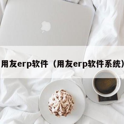 用友erp软件（用友erp软件系统）