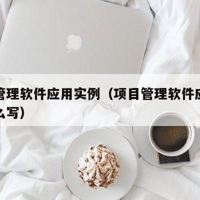 项目管理软件应用实例（项目管理软件应用实例怎么写）