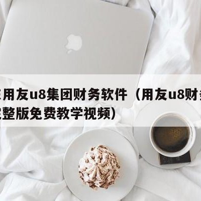 浦东用友u8集团财务软件（用友u8财务软件完整版免费教学视频）