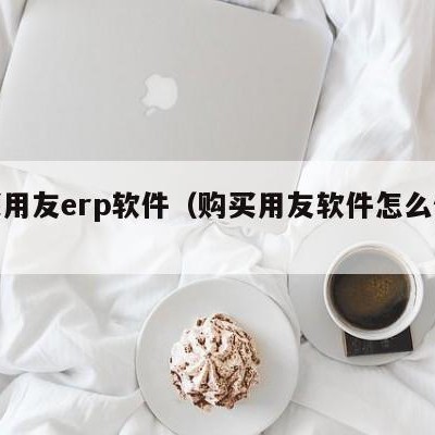 购买用友erp软件（购买用友软件怎么做分录）