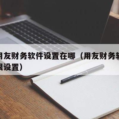 河南用友财务软件设置在哪（用友财务软件操作权限设置）