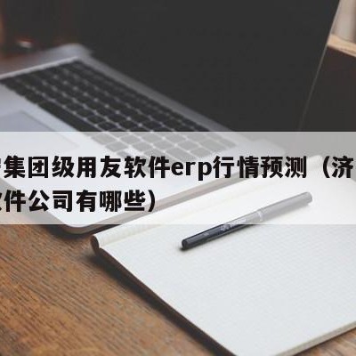 济宁集团级用友软件erp行情预测（济宁用友软件公司有哪些）