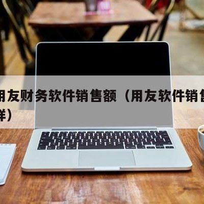 濮阳用友财务软件销售额（用友软件销售公司怎么样）