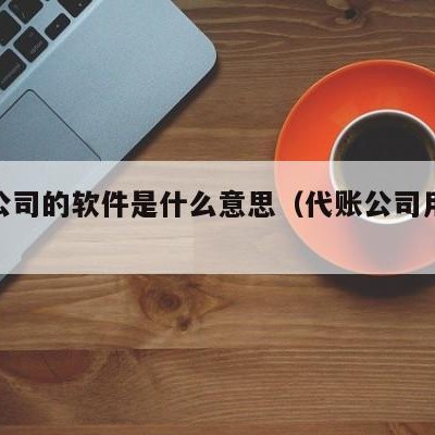 代账公司的软件是什么意思（代账公司用的软件）