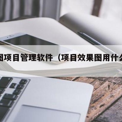 效果图项目管理软件（项目效果图用什么软件制作）