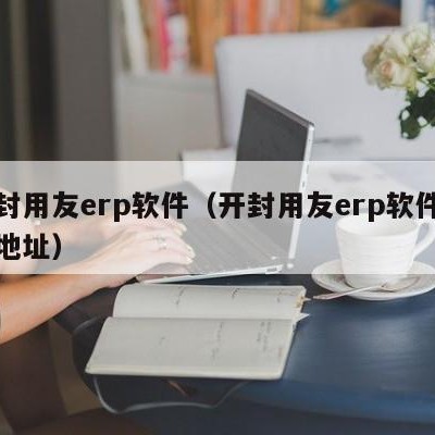 开封用友erp软件（开封用友erp软件公司地址）