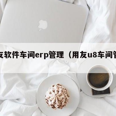 用友软件车间erp管理（用友u8车间管理）