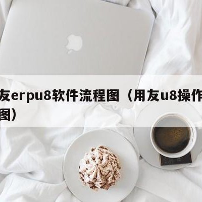 用友erpu8软件流程图（用友u8操作流程图）