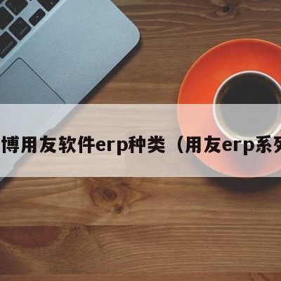 淄博用友软件erp种类（用友erp系列）