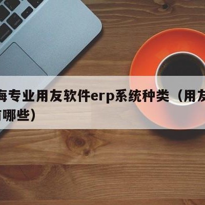 威海专业用友软件erp系统种类（用友erp有哪些）