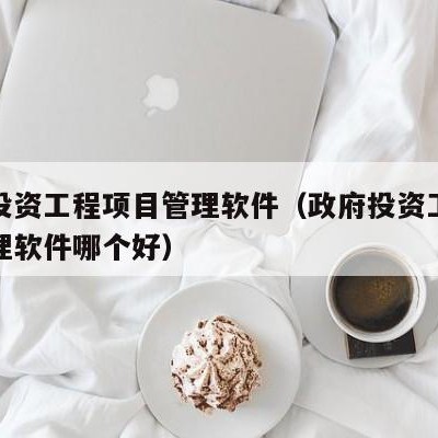 政府投资工程项目管理软件（政府投资工程项目管理软件哪个好）