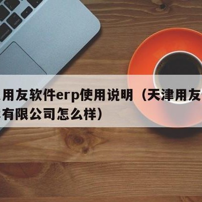 河东用友软件erp使用说明（天津用友软件技术有限公司怎么样）