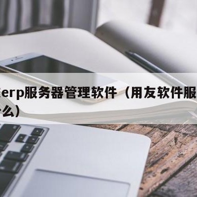 用友erp服务器管理软件（用友软件服务器是什么）