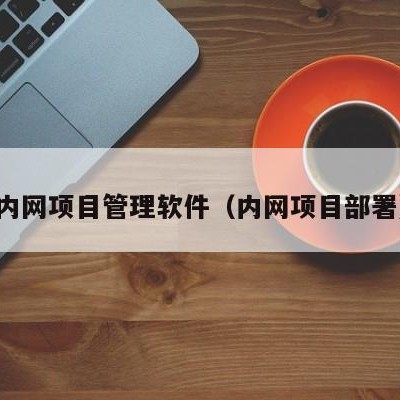 内网项目管理软件（内网项目部署）