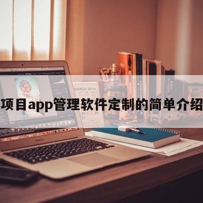 项目app管理软件定制的简单介绍