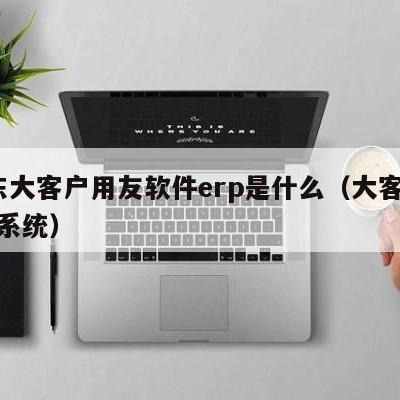 山东大客户用友软件erp是什么（大客户crm系统）