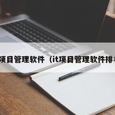 it项目管理软件（it项目管理软件排名）