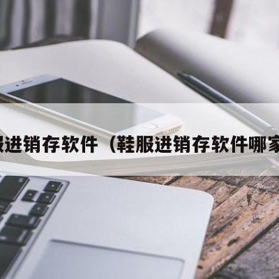 鞋服进销存软件（鞋服进销存软件哪家好）