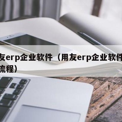 用友erp企业软件（用友erp企业软件操作流程）