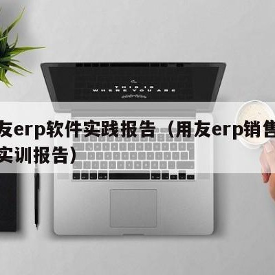 用友erp软件实践报告（用友erp销售管理实训报告）