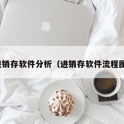 进销存软件分析（进销存软件流程图）