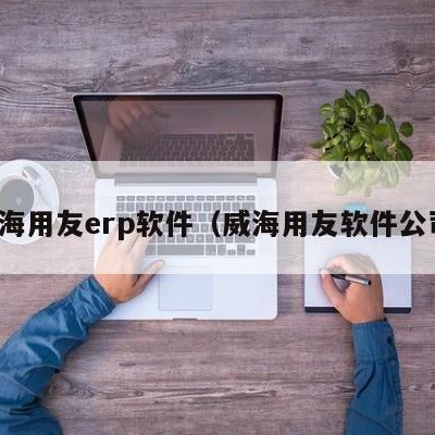 威海用友erp软件（威海用友软件公司）