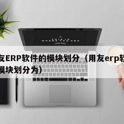 用友ERP软件的模块划分（用友erp软件的模块划分为）