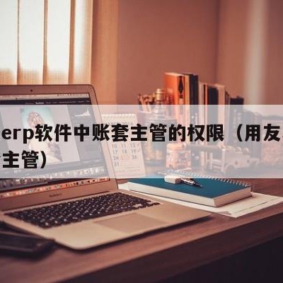 用友erp软件中账套主管的权限（用友软件帐套主管）