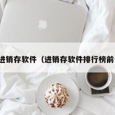 武汉进销存软件（进销存软件排行榜前十名）